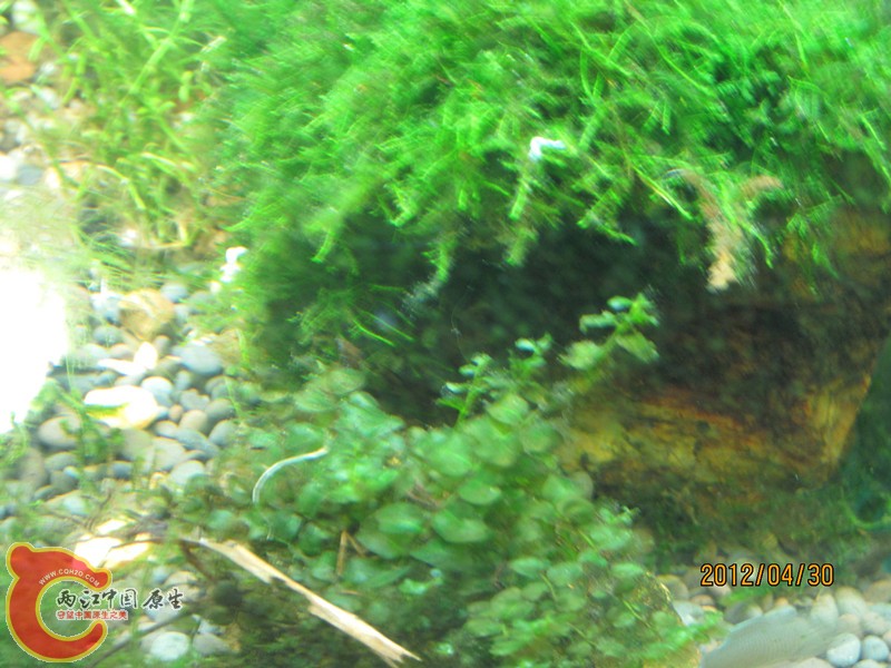 照片 3948_副本.jpg