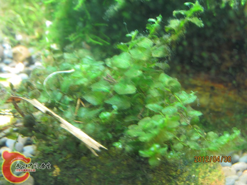 照片 3949_副本.jpg