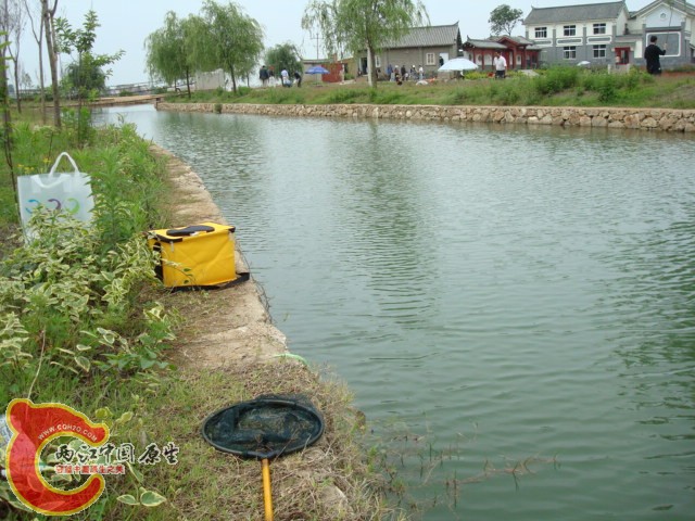 DSC01128.JPG