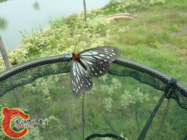 DSC01125.JPG