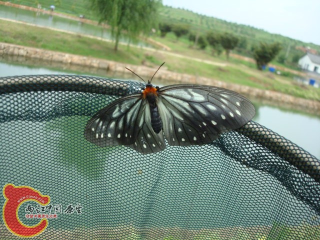 DSC01127.JPG