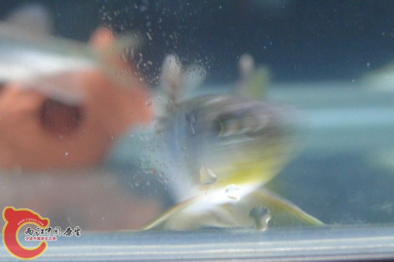 DSC01158_调整大小.JPG