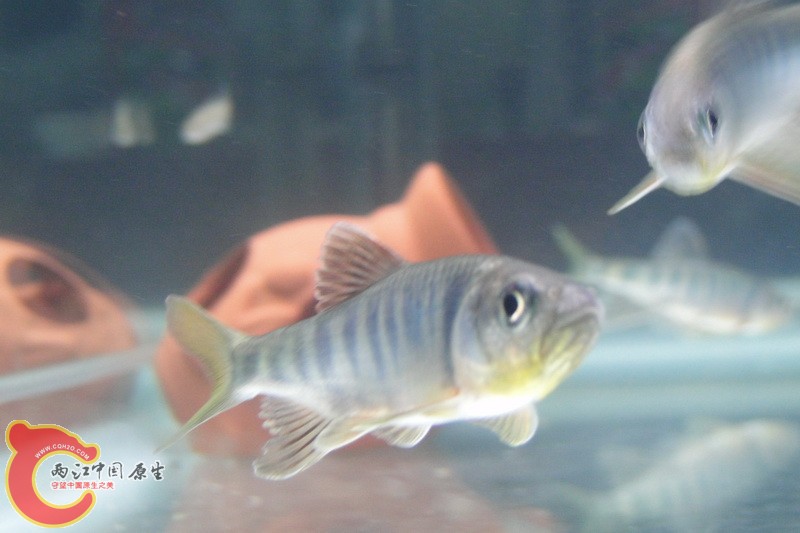 DSC01159_调整大小.JPG