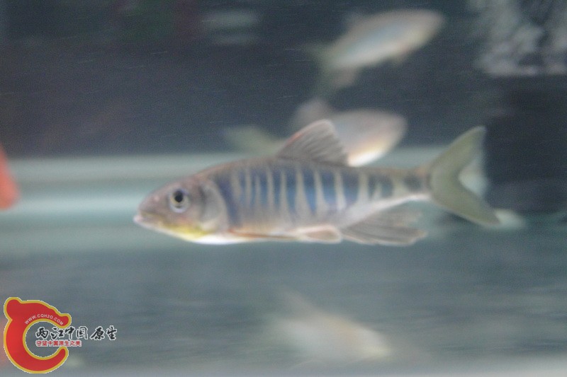 DSC01160_调整大小.JPG