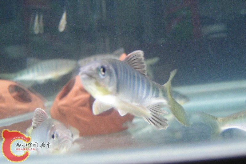 DSC01165_调整大小.JPG