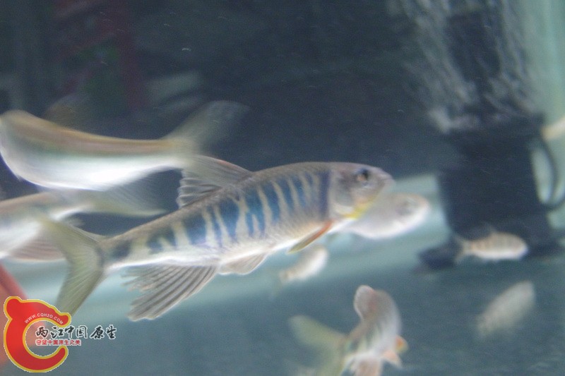 DSC01169_调整大小.JPG