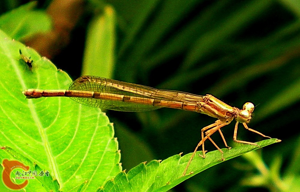 DSCN3928.JPG