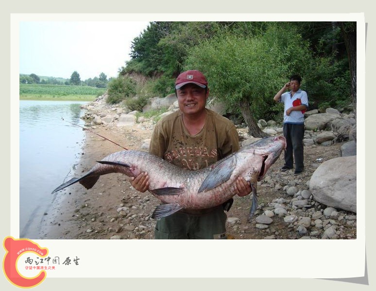 2008072415535332.jpg