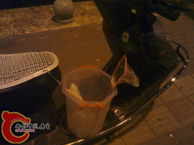 IMG_20120517_234123.jpg
