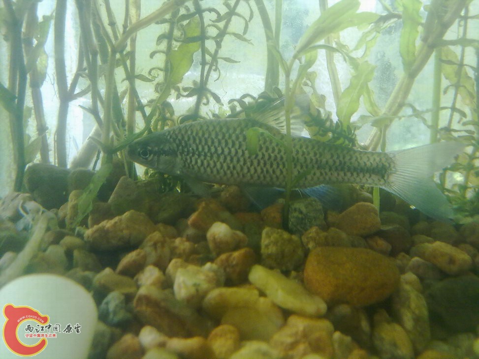 ？ 201205181205.jpg