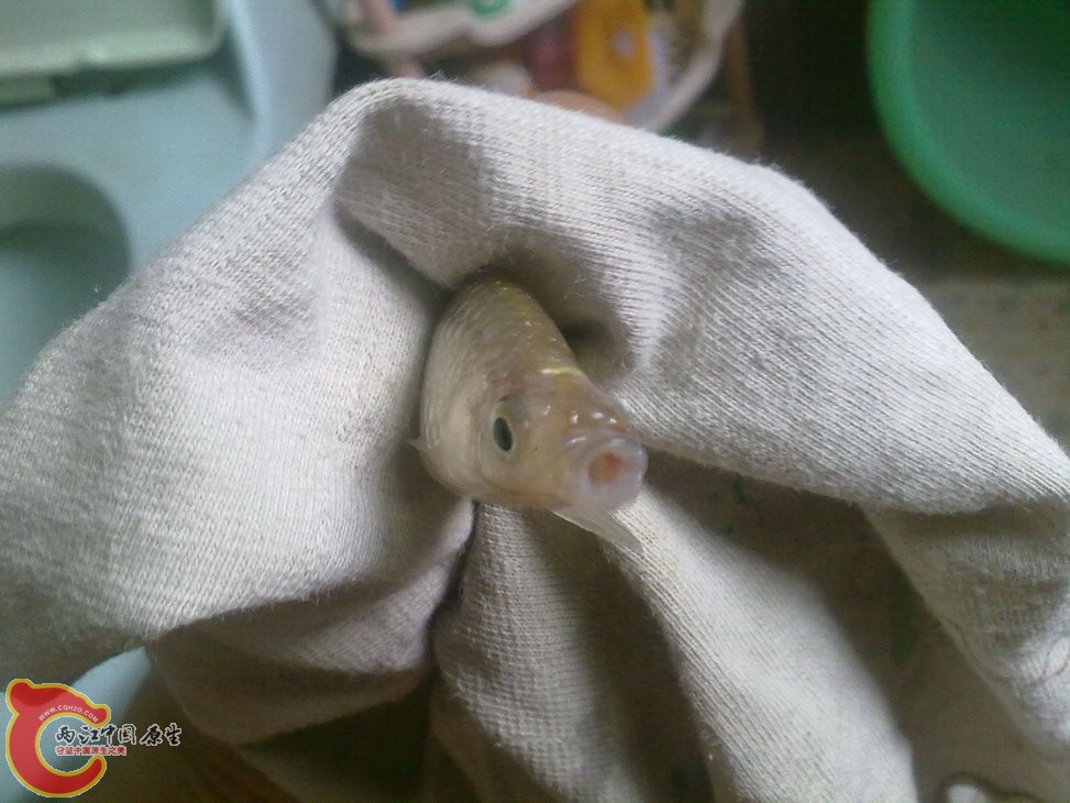 ？ 201205181210.jpg