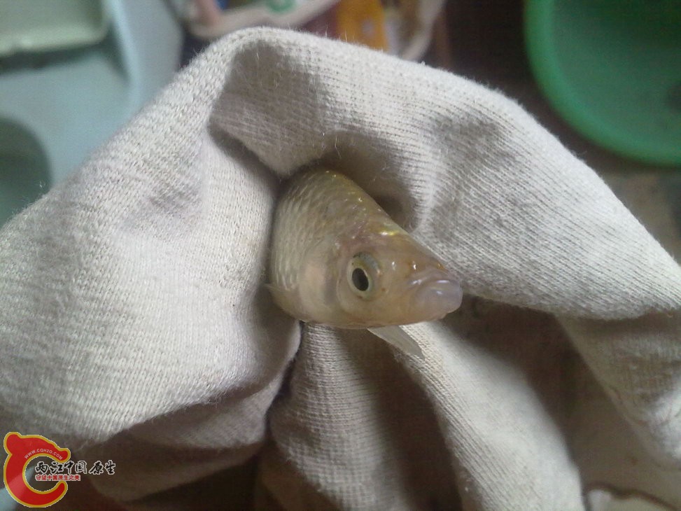 ？ 201205181211.jpg