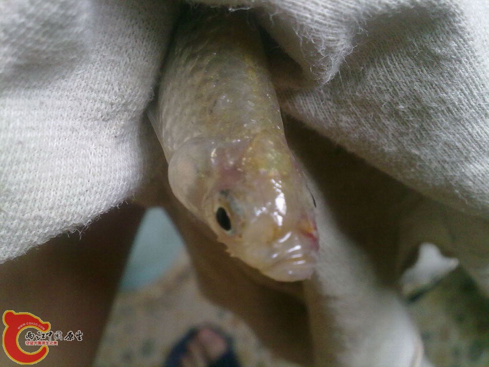 ？ 201205181212.jpg