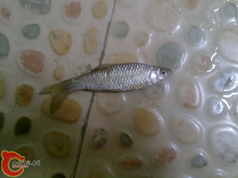 ？ 201205181213.jpg