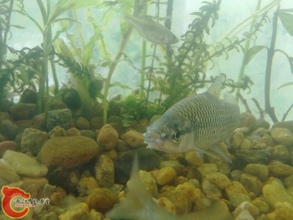 ？ 201205181215.jpg