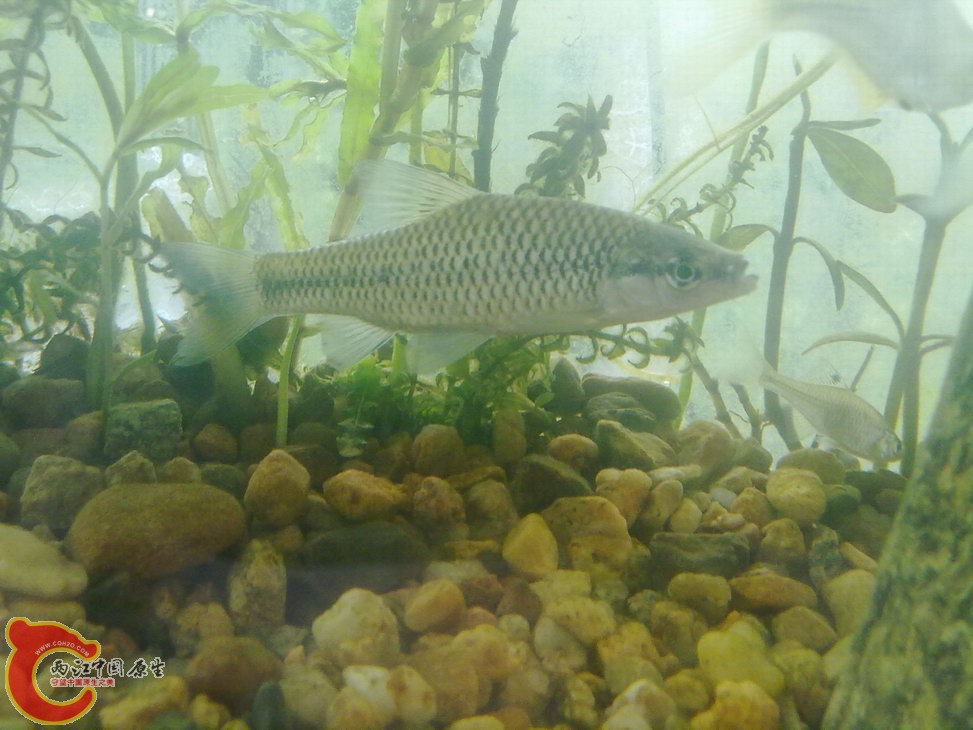 ？ 201205181217.jpg