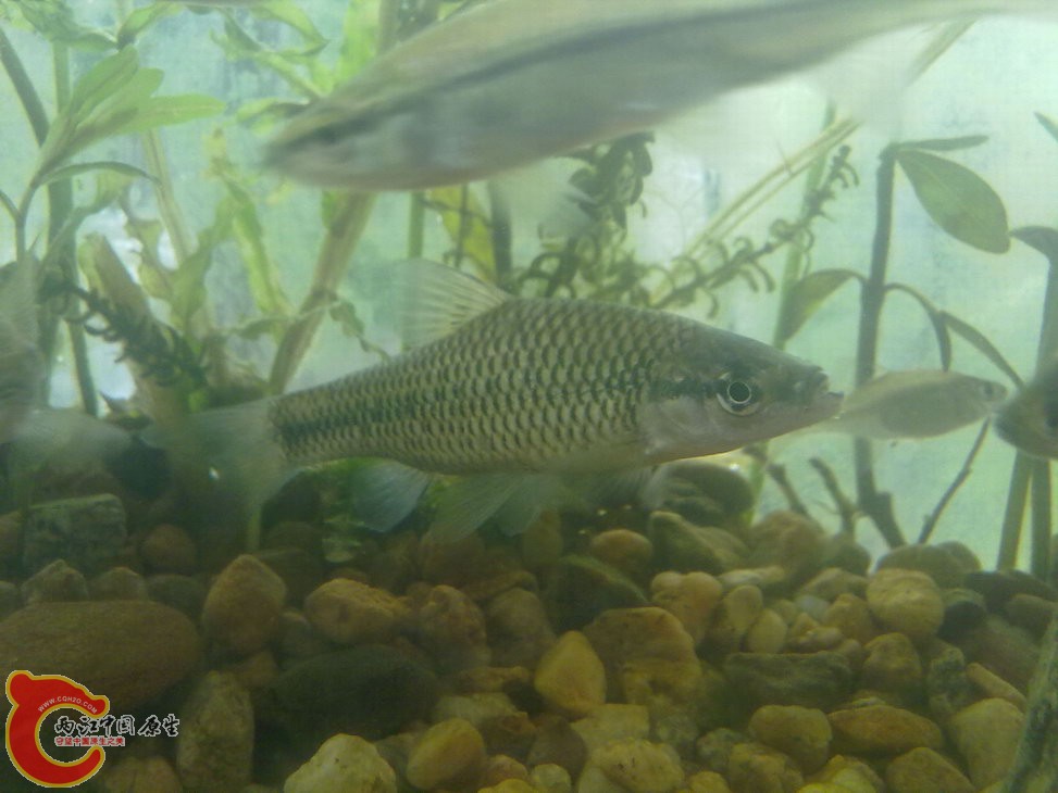 ？ 201205181218.jpg