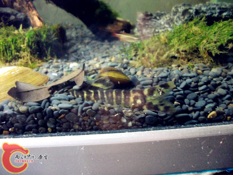 DSCF3860_副本.jpg