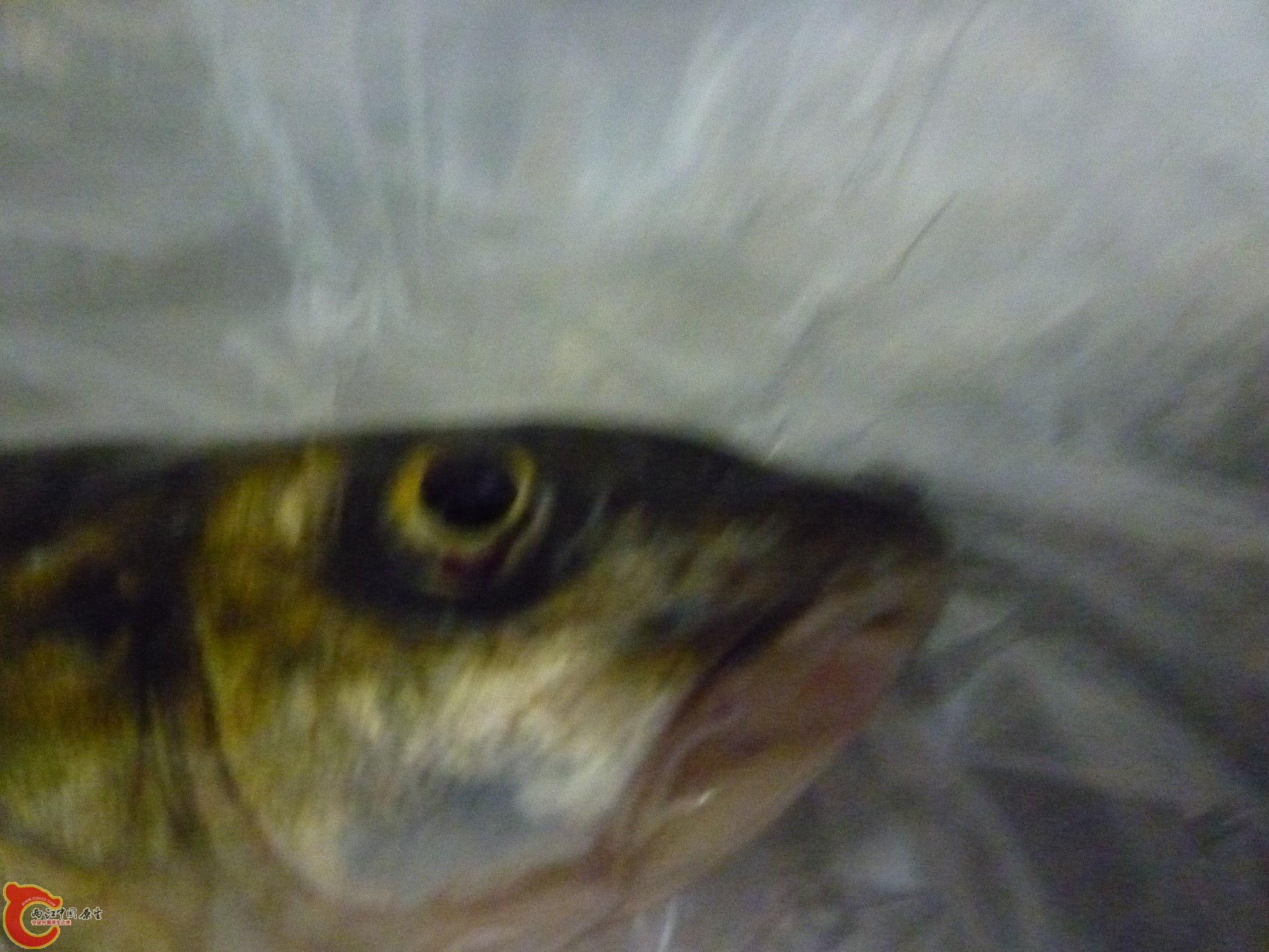 P1050721.JPG