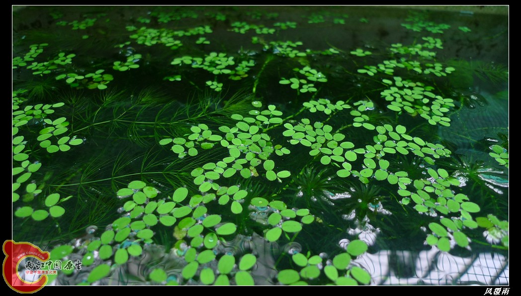 P1110524_nEO_IMG.jpg