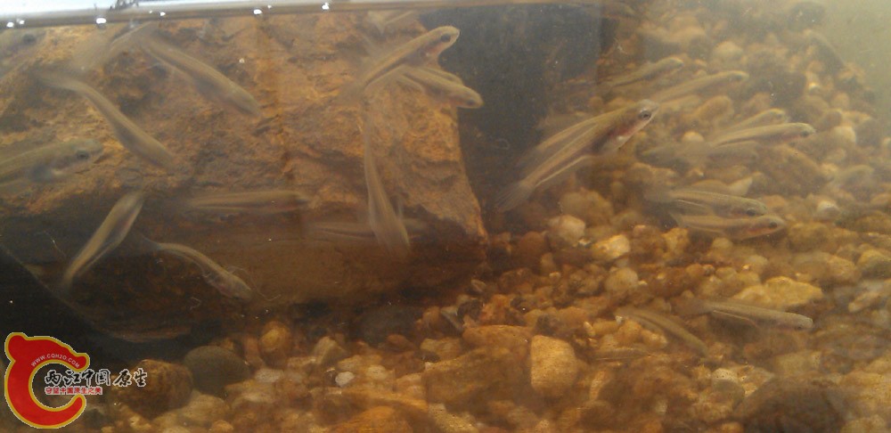 IMAG0495.jpg