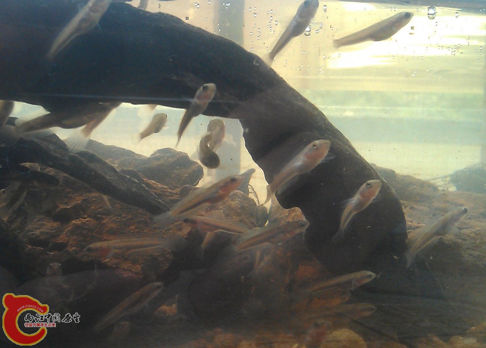 IMAG0497.jpg