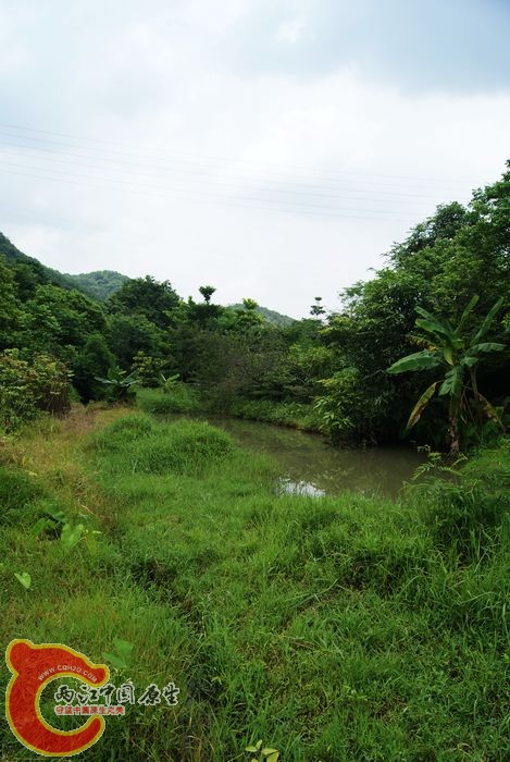 04.jpg