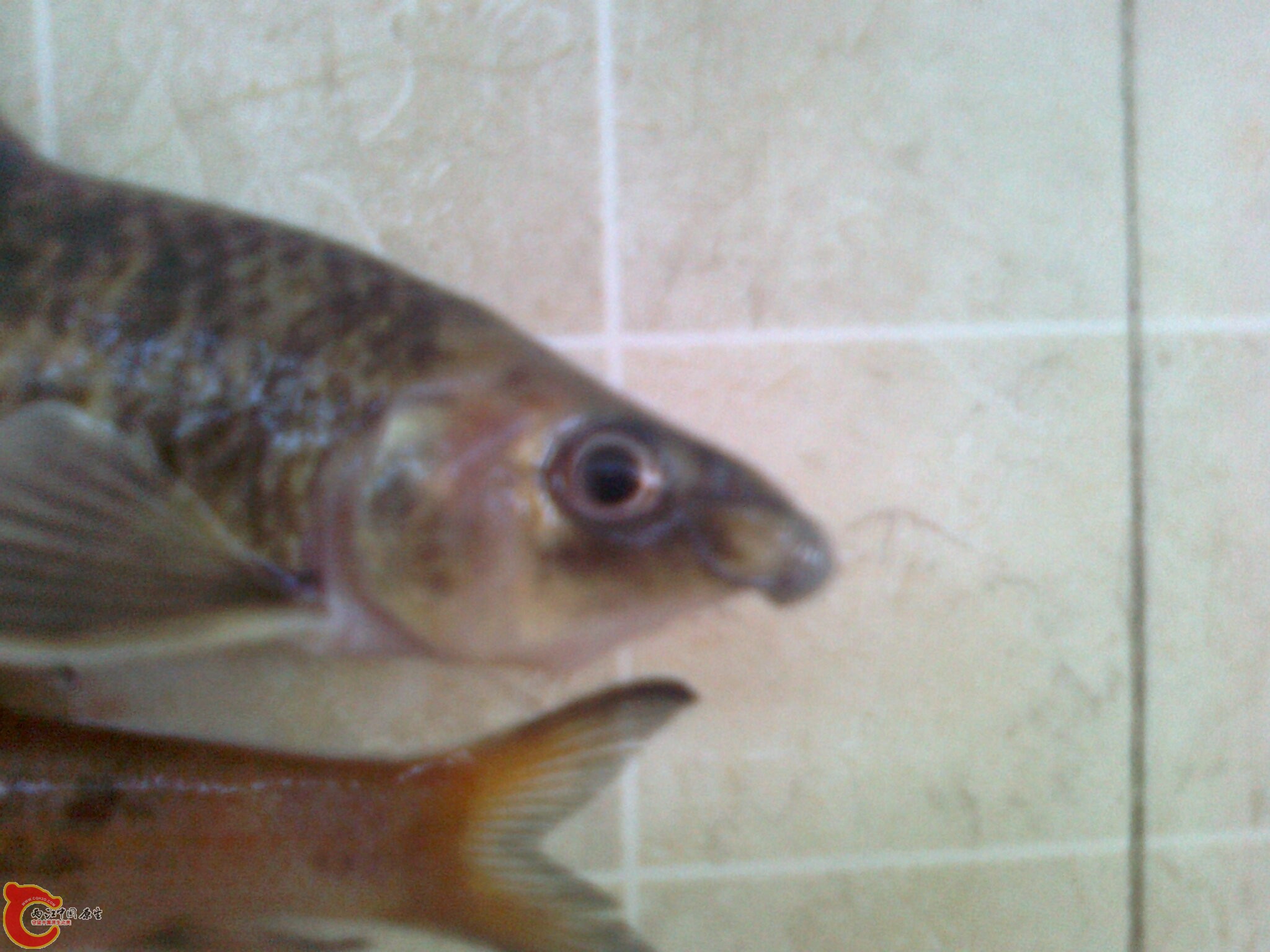 照片0501.jpg