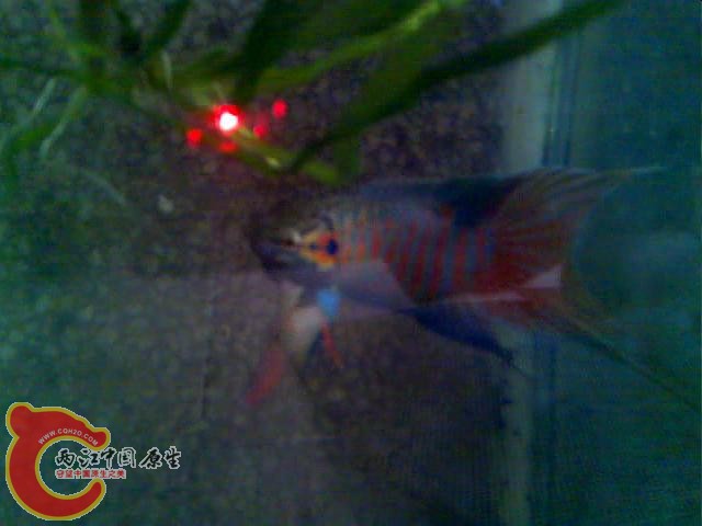 (20120519027.mp4)[00.01.01.278].jpg