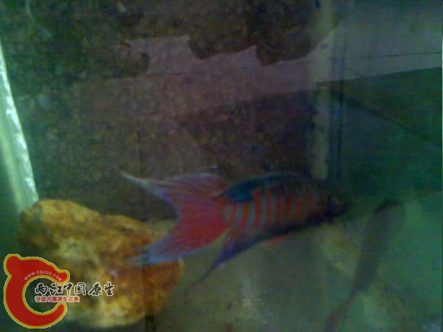 (20120519027.mp4)[00.02.46.349].jpg