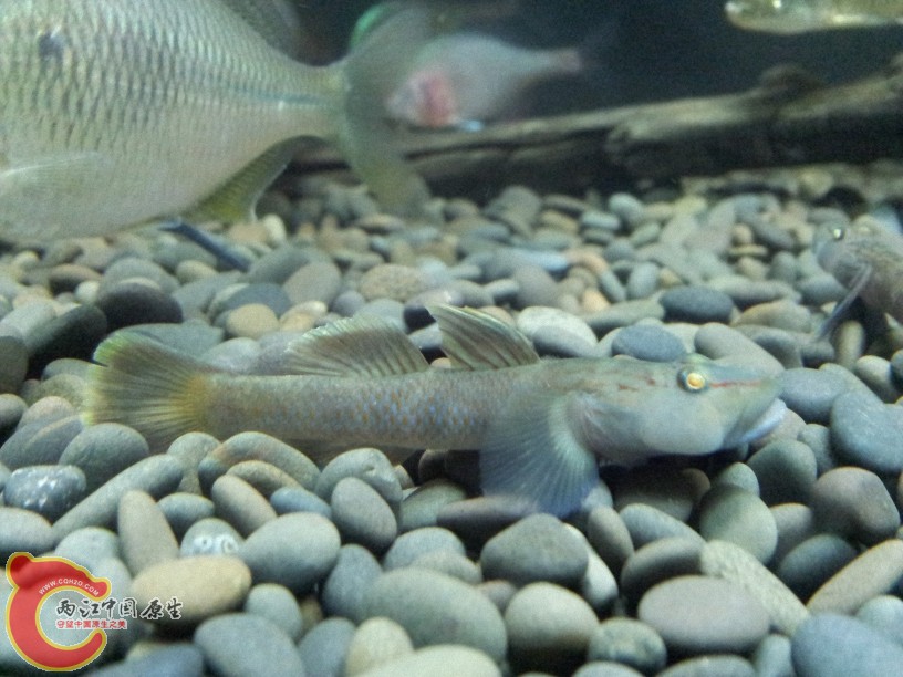 2012-05-20 23.01.40.jpg