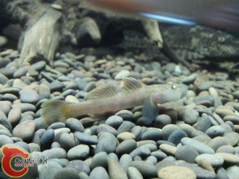 2012-05-20 23.02.25.jpg
