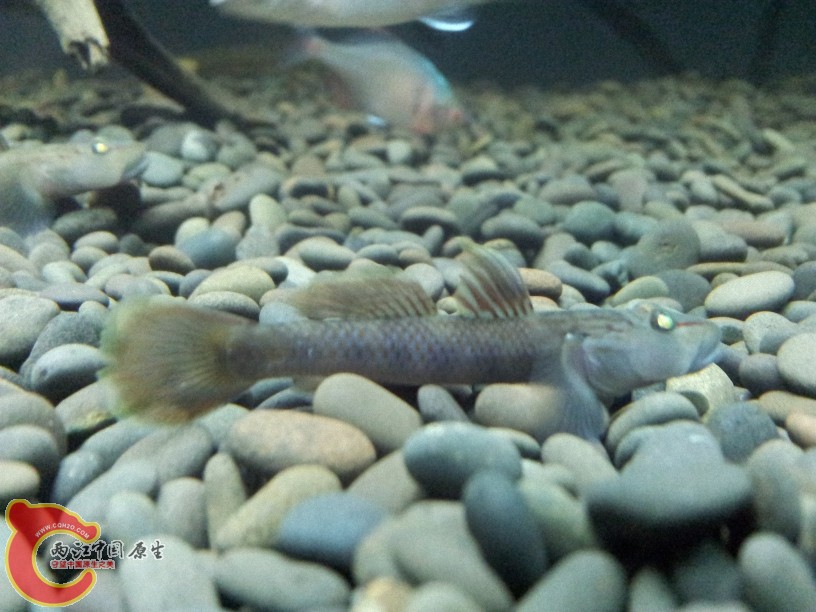 2012-05-20 23.05.45.jpg