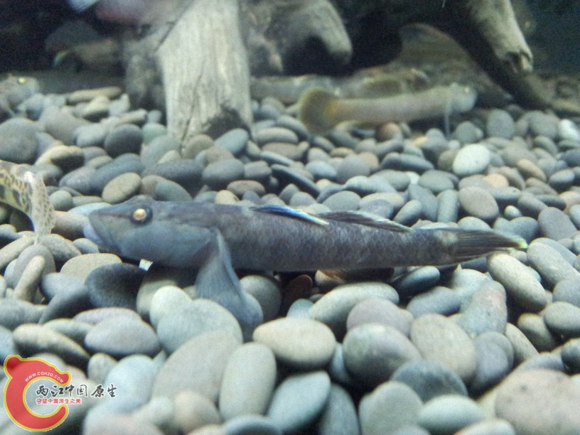 2012-05-20 23.05.56.jpg