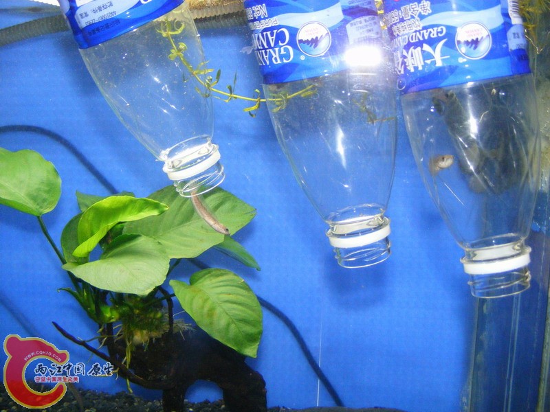 终于不用这么憋屈了