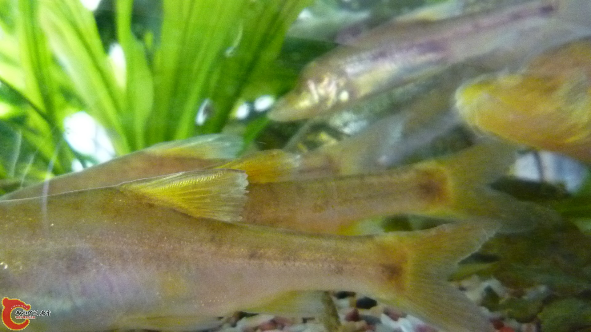 P1050790.JPG