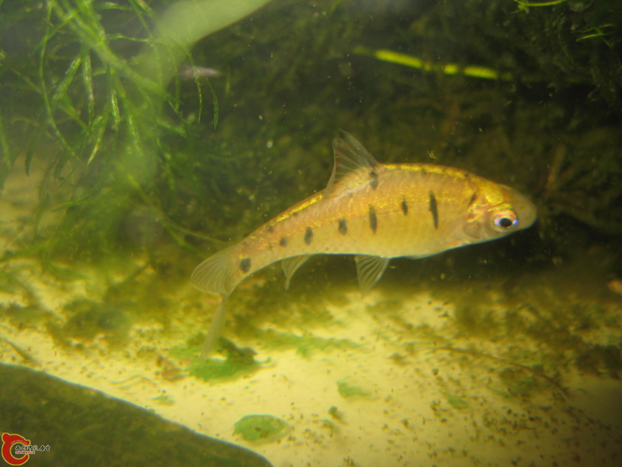 IMG_5733.JPG