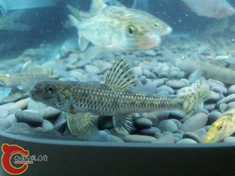 2012-05-19 23.22.55.jpg