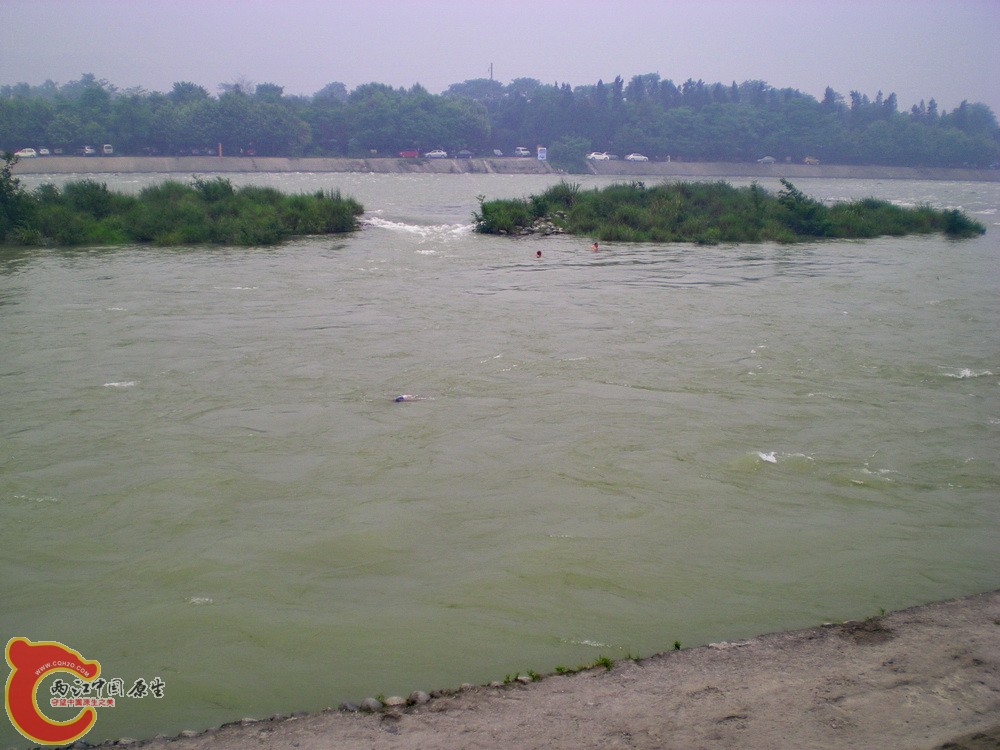 DSCN3942.JPG DSCN3942.JPG