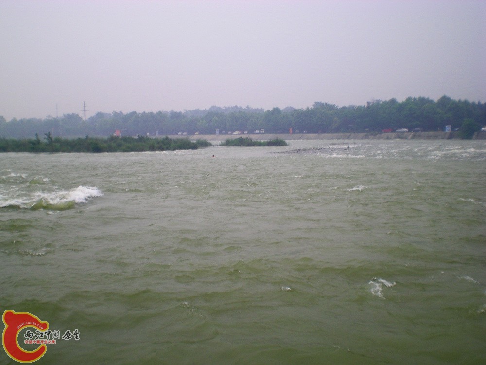 DSCN3944.JPG DSCN3944.JPG