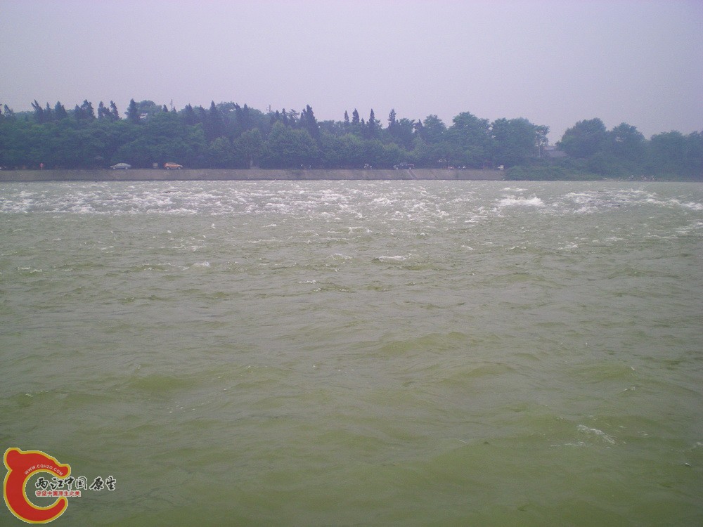 DSCN3945.JPG DSCN3945.JPG