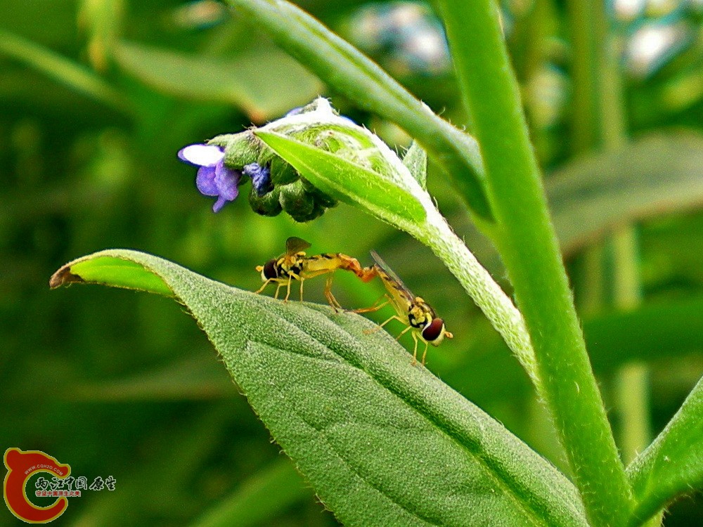 DSCN3950.JPG DSCN3950.JPG