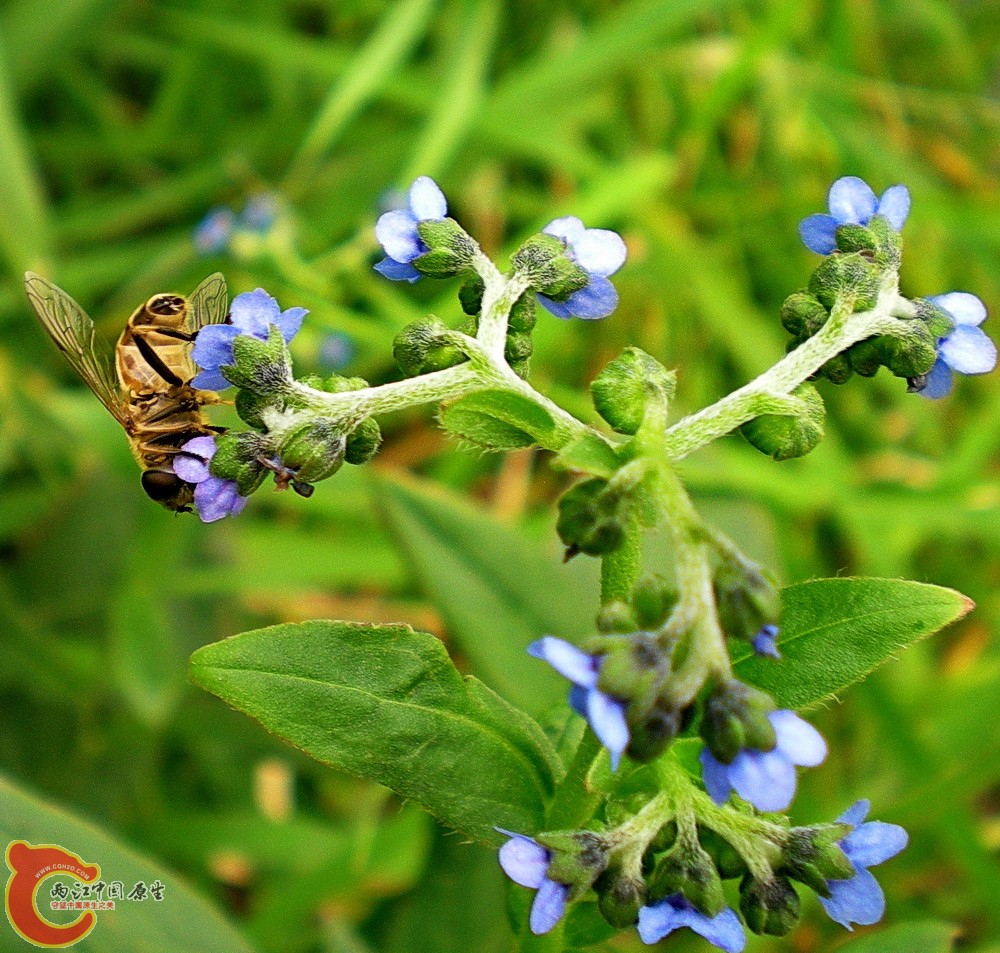 DSCN3954.JPG DSCN3954.JPG