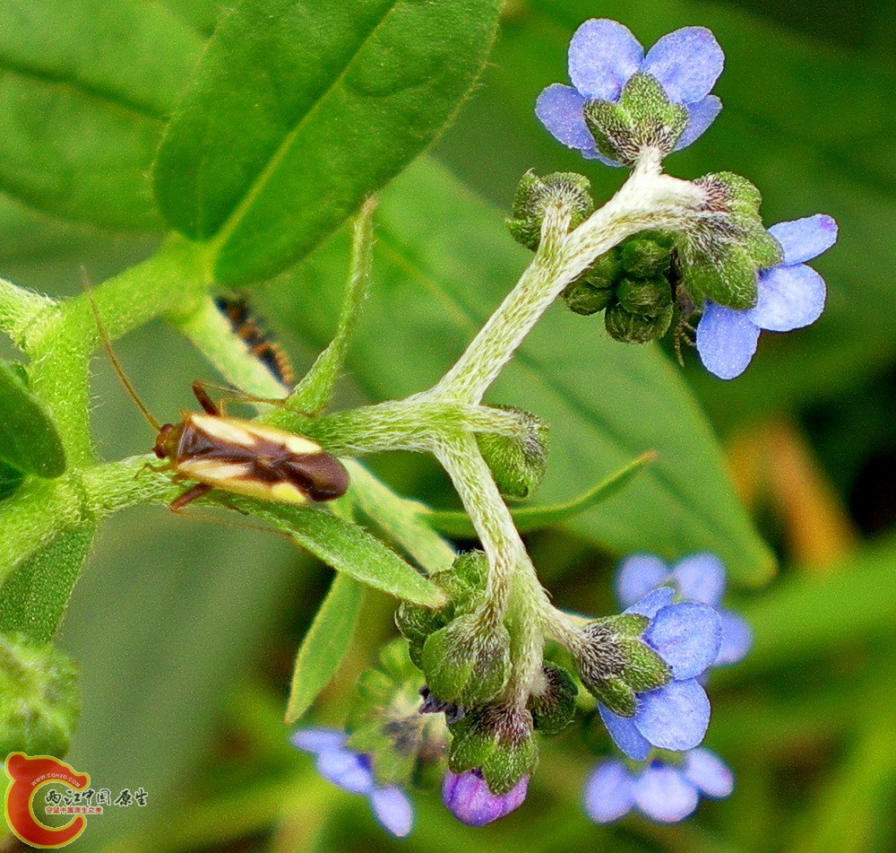 DSCN3955.JPG DSCN3955.JPG