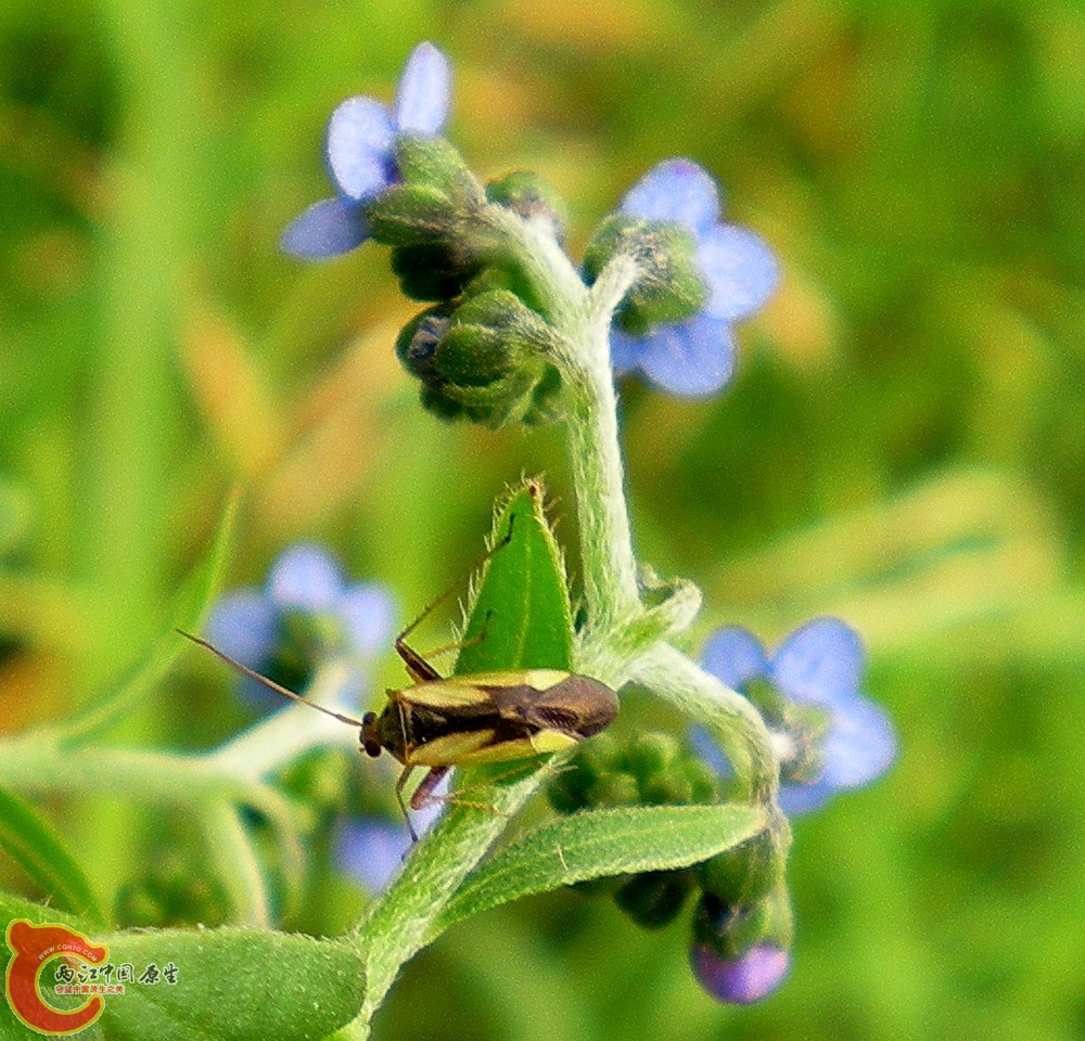 DSCN3956.JPG DSCN3956.JPG