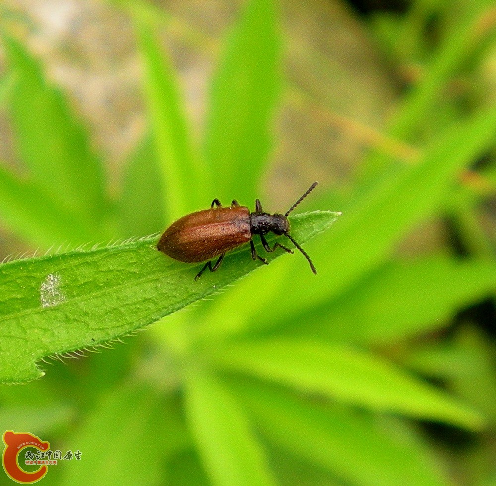 DSCN3957.JPG DSCN3957.JPG