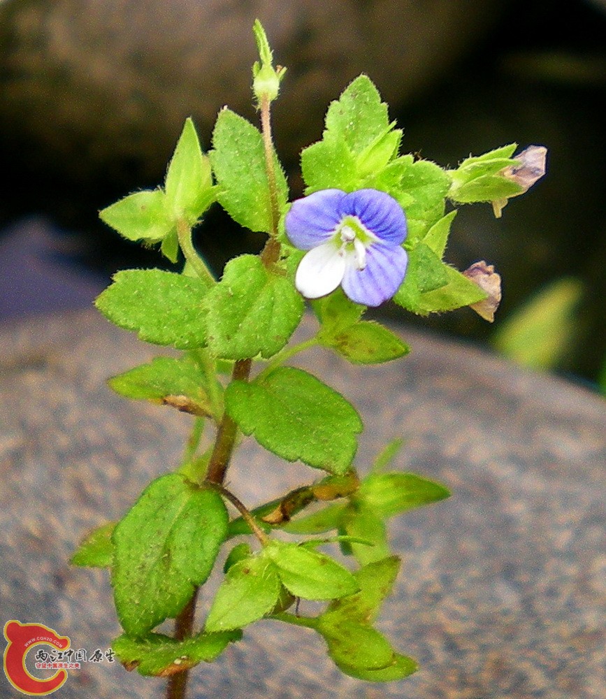 DSCN3959.JPG DSCN3959.JPG