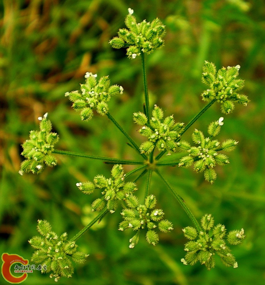 DSCN3962.JPG DSCN3962.JPG