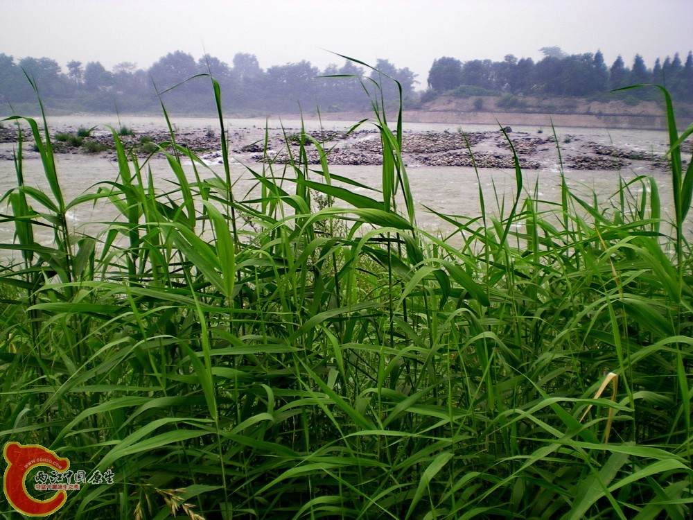 DSCN4082.JPG DSCN4082.JPG