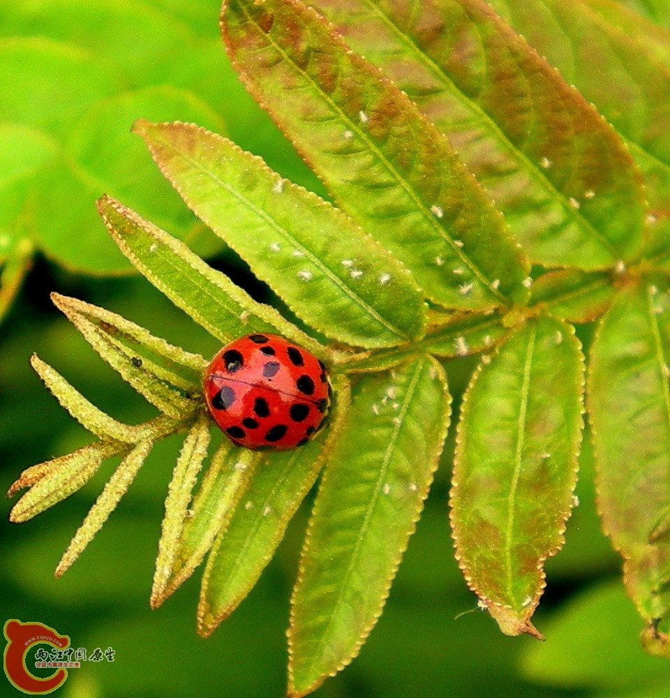 DSCN3968.JPG DSCN3968.JPG